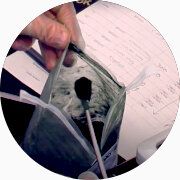Une cuillère dans un sachet pour mesurer la qualité de l'algue Klamath.