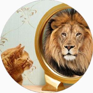 Un chat observe dans un miroir sa réflection sous forme de lion.