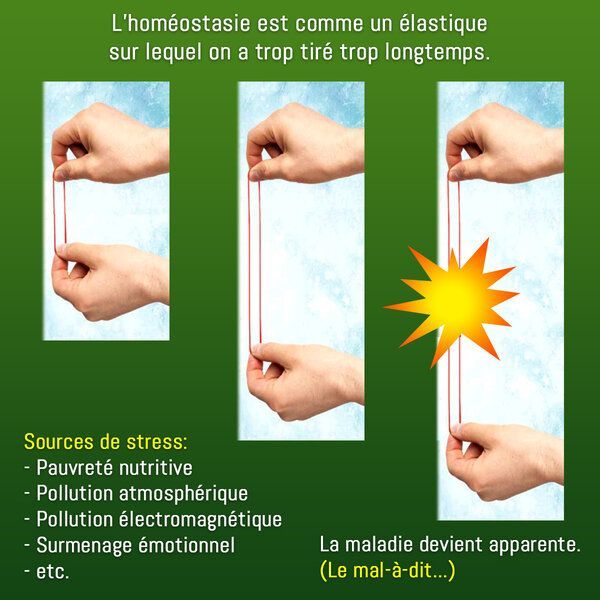 Infographie explicative de l'effet élastique de la santé, partie 1.