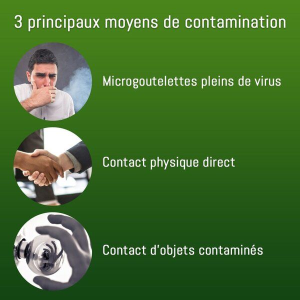 Infographie des trois principaux moyens de contamination.