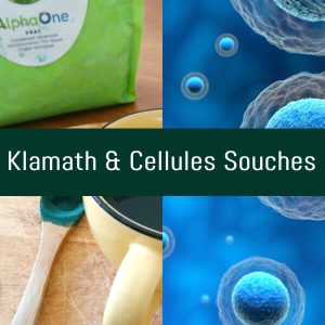 Composition graphique avec de l'algue de Klamath et une image de cellules souches.