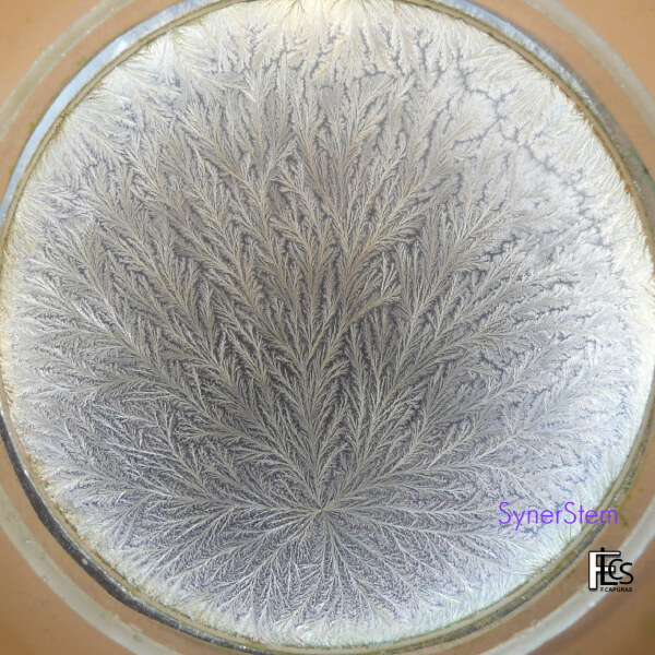 Photo d'une cristallisation sensible du SynerSTEM.