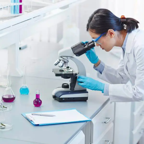 Recherche scientifique sur l'algue de Klamath
