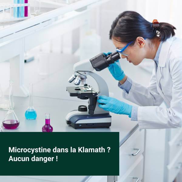Une scientifique recherche les microcystines dans l'algue de Klamath.