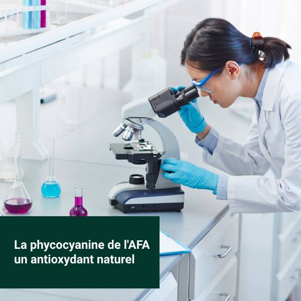 Une scientifique observe les propriétés antioxydantes de la phycocyanine dans la Klamath.