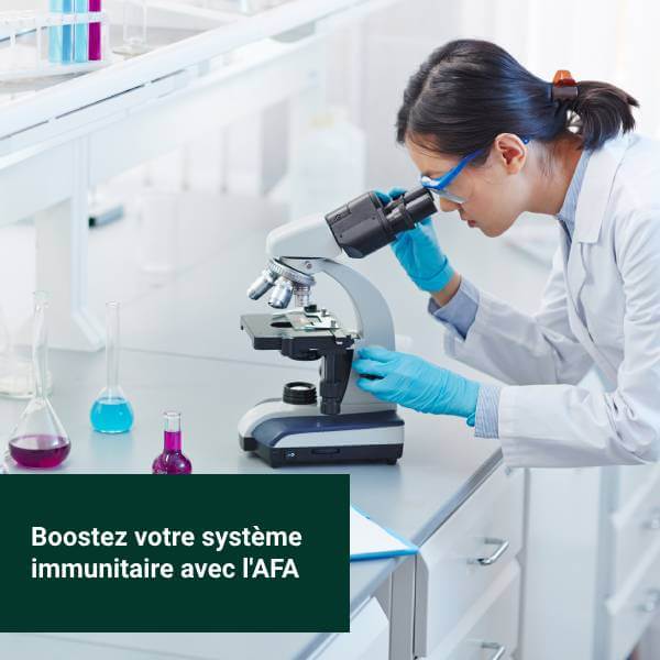 Une scientifique observe au microscope comment l'AFA peut stimuler le système immunitaire.