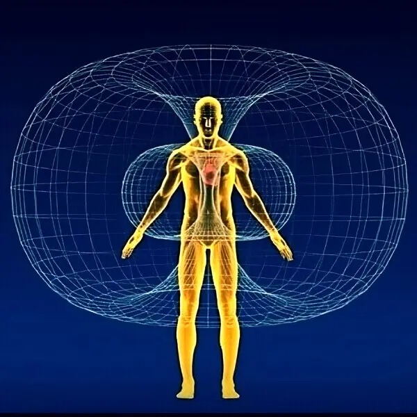 Représentation digitale du champ électromagnétique humain sous forme de torus.