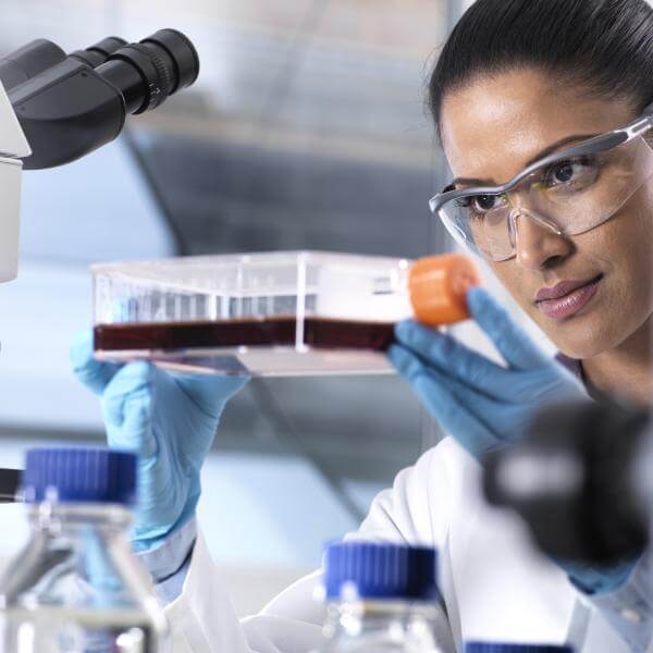 Une scientifique étudie des cellules souches stimulées par l'AFA algue de Klamath.