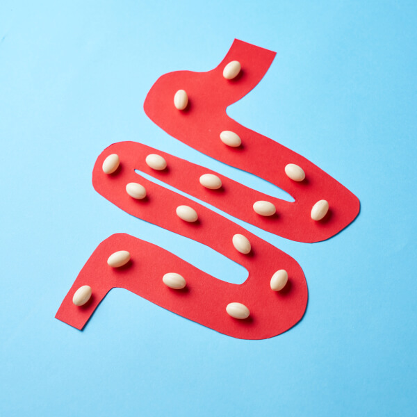 Un intestin rouge en papier avec des gélules de probiotiques.