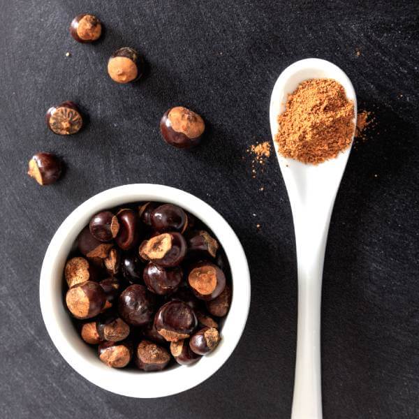 Un bol avec des graines de guarana et une cuillère remplie de poudre de guarana.