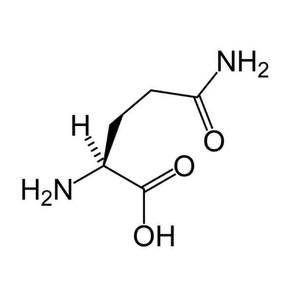 Structure moléculaire de la L-glutamine.