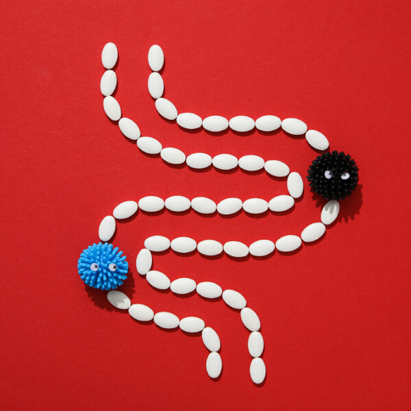 Concept graphique d'intestin tracé avec des pilules et deux bactéries en peluche.
