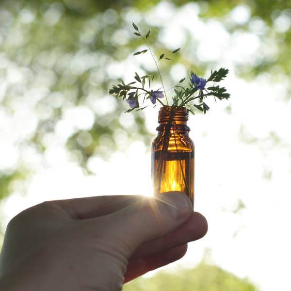 Un flacon d'huile essentielles avec des plantes de phytothérapie minceur.