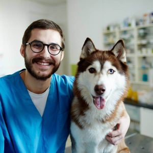 Un vétérinaire et un chien.