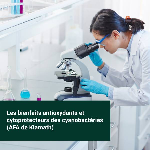 Une scientifique étudie les bienfaits antioxydants des cyanobactéries comme l'Aphanizomenon flos-aquae.