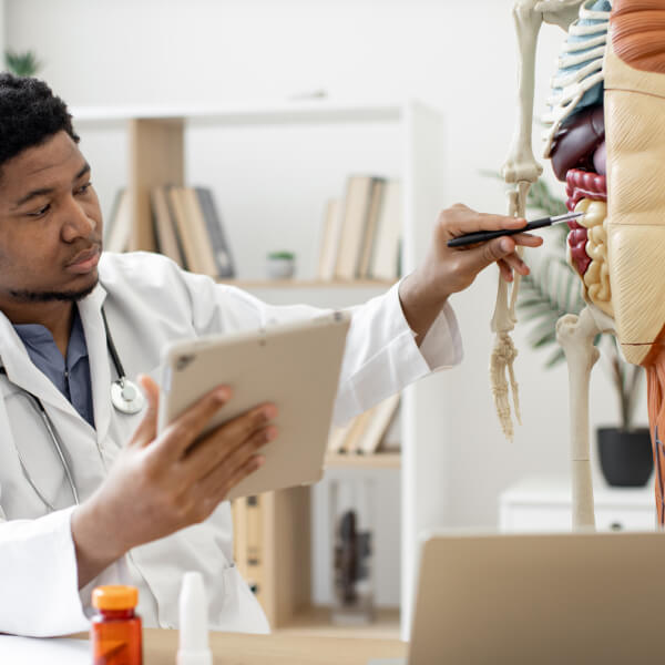 Un docteur regarde un bloc-note et pointe un intestin sur un modèle en plastique.