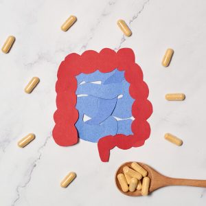 Concept graphique, un intestin coloré avec une cuillère en bois, probiotiques en gélules.