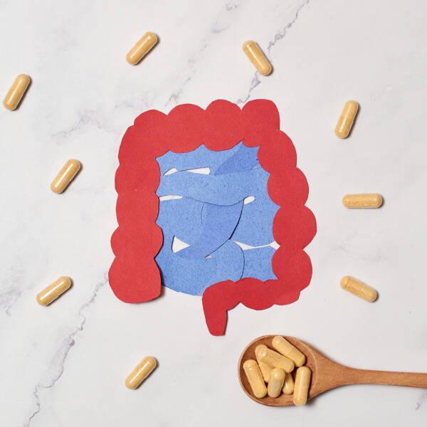 Concept graphique, un intestin coloré avec une cuillère en bois, probiotiques en gélules.