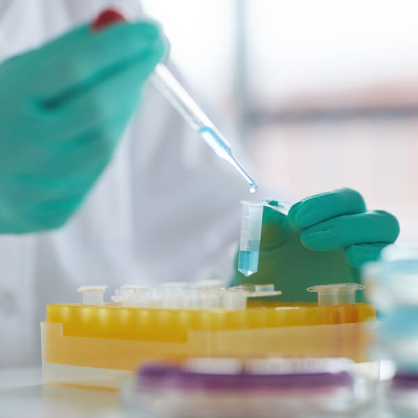 Deux mains gantées une éprouvette, un test laboratoire.