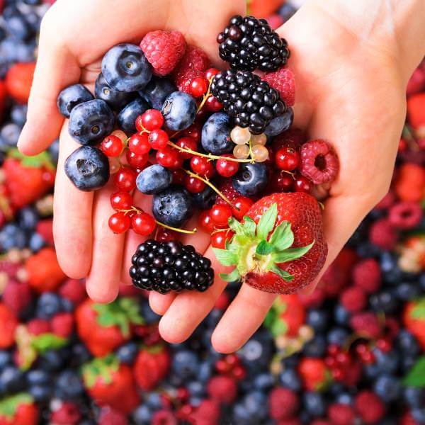 Deux mains tendues pleines de baies et de fruits rouges.