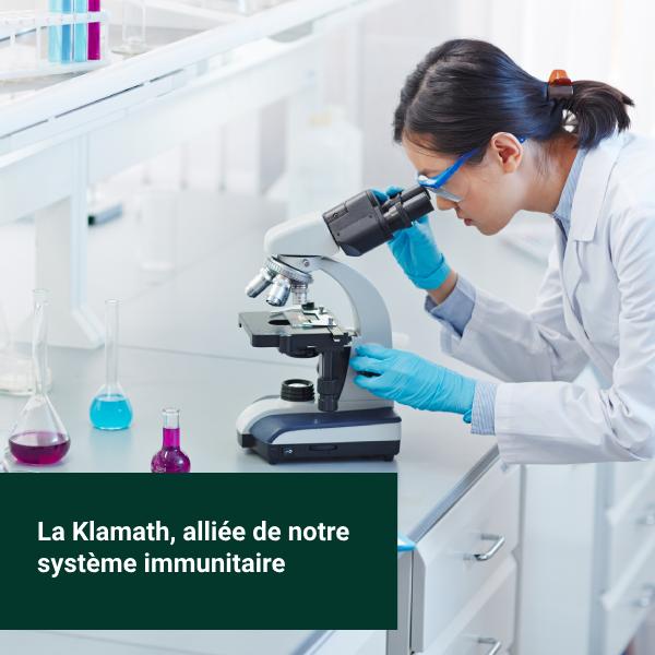 Une scientifique étudie les bienfaits de l'algue de Klamath sur le système immunitaire.