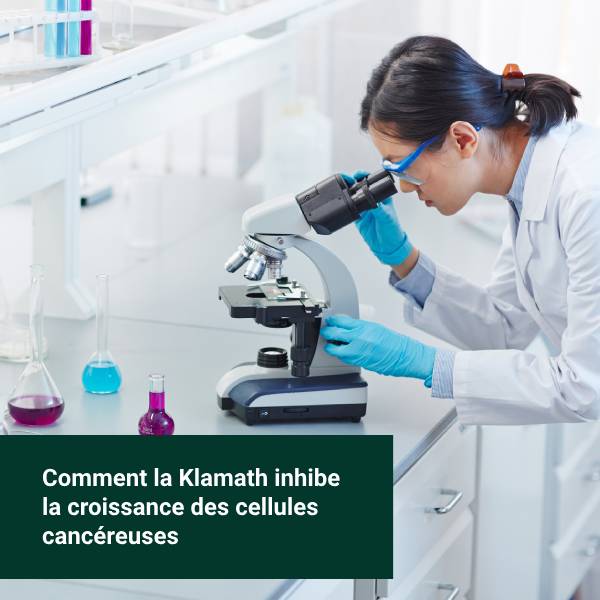 Une scientifique étudie au microscope comment la Klamath peut inhiber la croissance des cellules cancéreuses et tumorales.