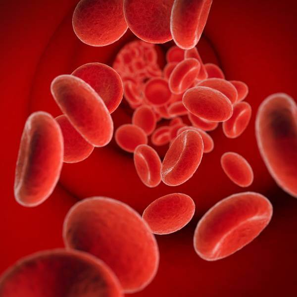 Illustration de cellules rouges porteuses d'oxygène dans le sang.