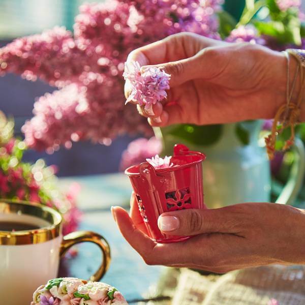 Préparation d'une tisane, un remède pour la circulation sanguine.