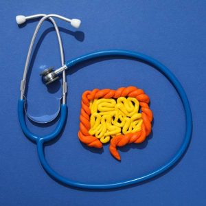 Un stéthoscope autour d'un modèle anatomique d'intestin pour représenter une flore intestinale déséquilibrée.