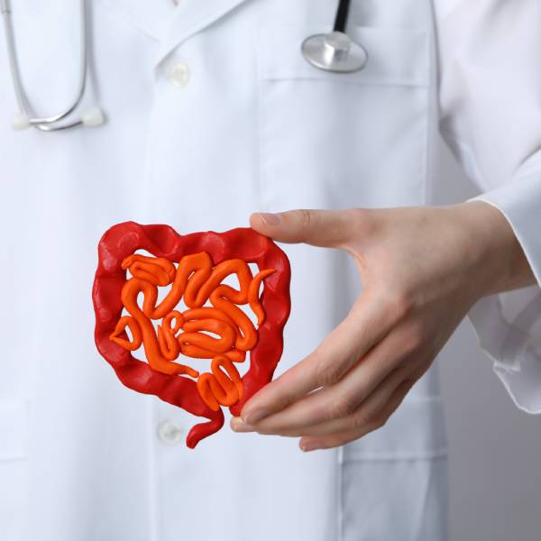 Un médecin tient dans sa main un modèle en papier d'intestin à la flore intestinale déséquilibrée.