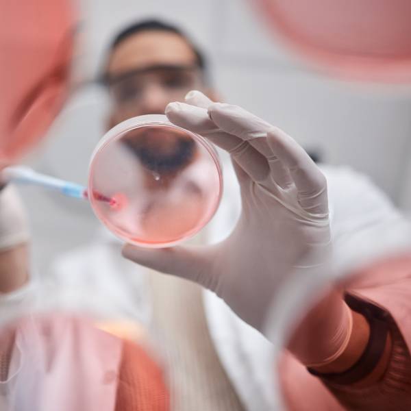 Vu en contre-plongée d'un scientifique avec une culture de cellules souches.