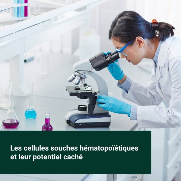 Une scientifique étudie au microscope le potentiel des cellules souches hématopoïétiques.