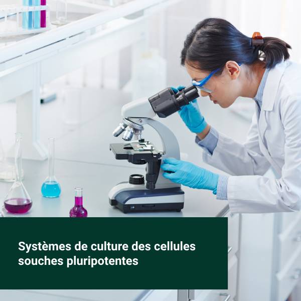 Une scientifique étudie au microscope un système de culture de cellules souches.